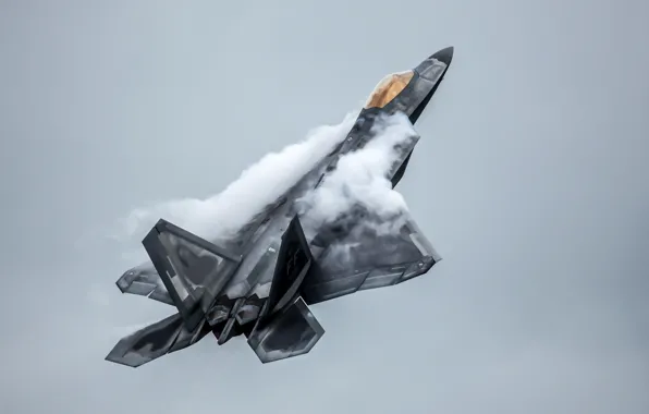 Picture flight, fighter, F-22, Raptor