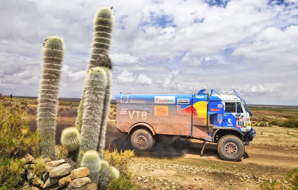 Sport, Speed, Truck, Race, Master, Russia, Kamaz, Rally