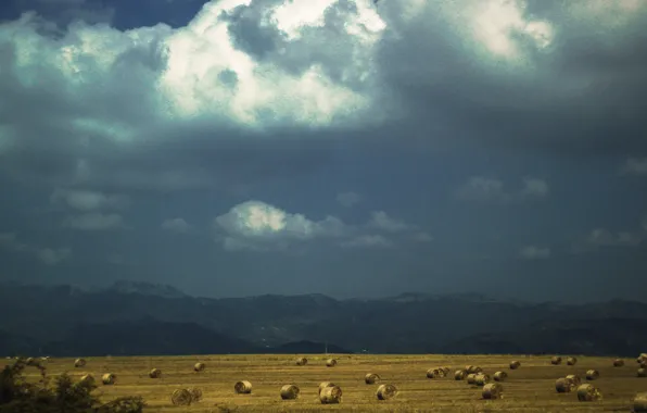 Picture the sky, landscape, clouds, contrast, hay