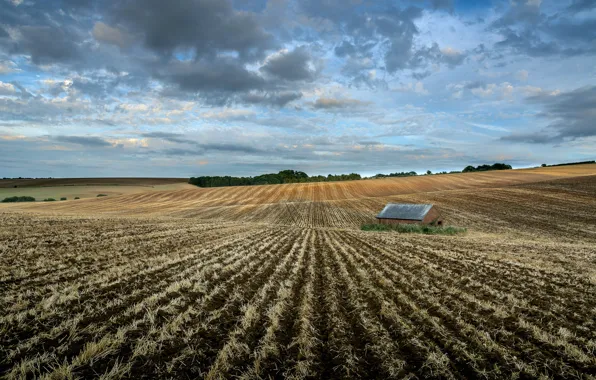Picture field, nature, house, arable land