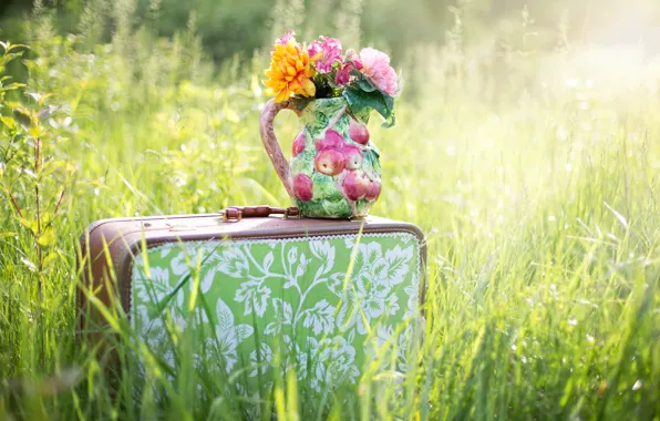 Picture summer, grass, flowers, nature, suitcase, pitcher