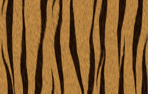 Strips, texture, skin, the tiger's coat