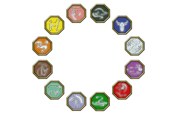 Tiger, power, dragon, horse, sheep, snake, dog, rabbit