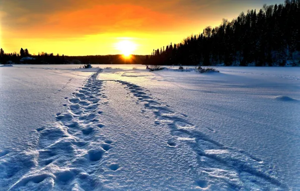 Winter, field, the sun, snow, trees, sunset, traces, Alain Audet