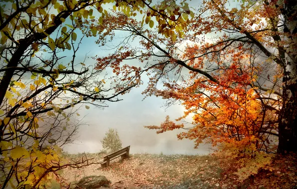 Picture autumn, bench, fog, Park