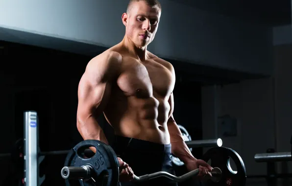 Pose, muscle, muscle, rod, press, training, gym, bodybuilder