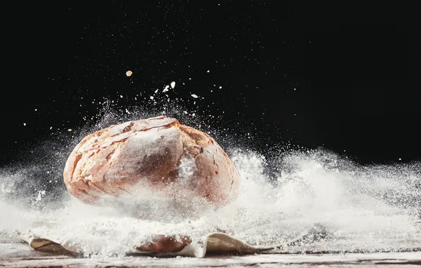 Concept, close-up, brown, bread, breakfast, corn, crop, closeup