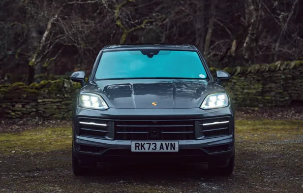 Porsche, Cayenne, Porsche Cayenne E-Hybrid