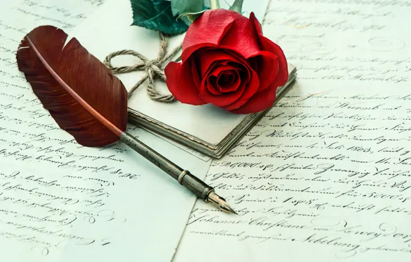 Letter, pen, rose, red, rose, flower, letter