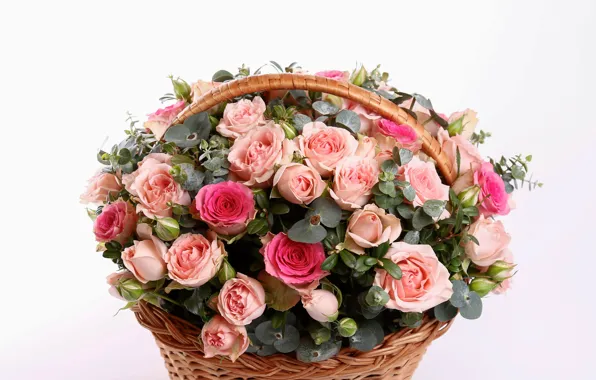 Basket, roses, bouquet, Rose, basket, chic