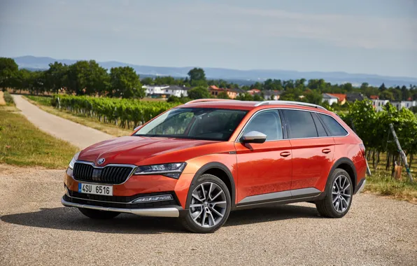 Road, car, machine, orange, wheel, the suburbs, universal, Skoda