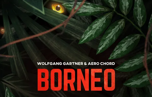 Picture Music, Borneo, Cover, Monstercat, Wolfgang Gartner & Aero Chord
