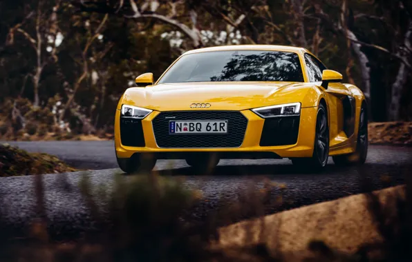 Yellow, Audi, Audi, car, the front, V10