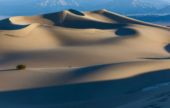 Picture sand, traces, desert, dunes