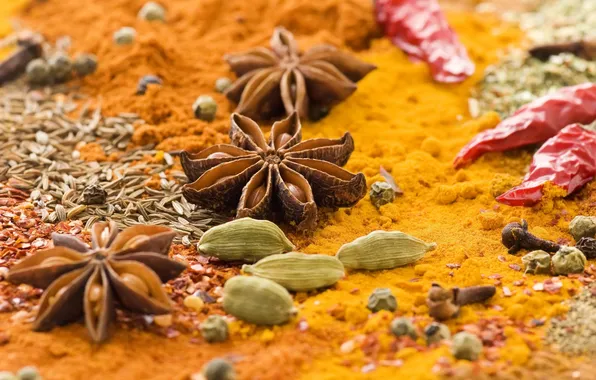 Stars, pepper, spices, spices, chili, seasoning, cardamom, star anise