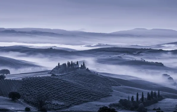 Wallpaper hills, field, Tuscany, trees, fog, mountains, Italy, San Quirico