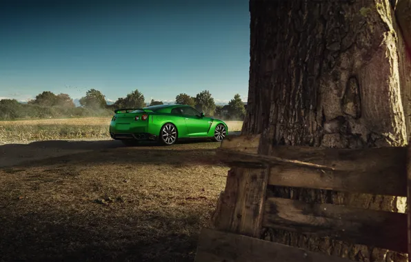 Nissan, GT-R, Car, Nature, Green, Beauty, Sport, Rear