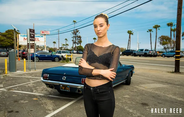 Street, Porn Star, Porn Actress, Car and Girl, sexy blonde girl, Haley Reed, Blonde Girl, …