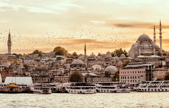 The sky, sunset, birds, Strait, home, tower, temple, boats