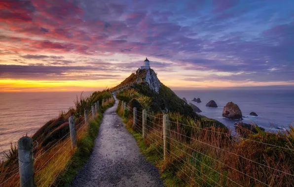 Sunrise, Lighthouse, Nugget Point