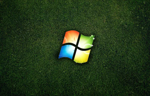 Picture grass, logo, windows