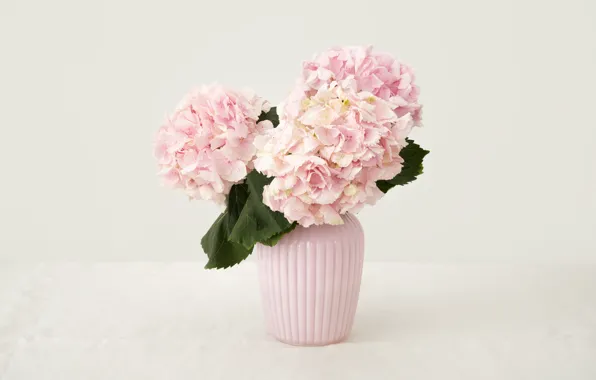Flowers, bouquet, pink, Flowers, Bouquet, Vase
