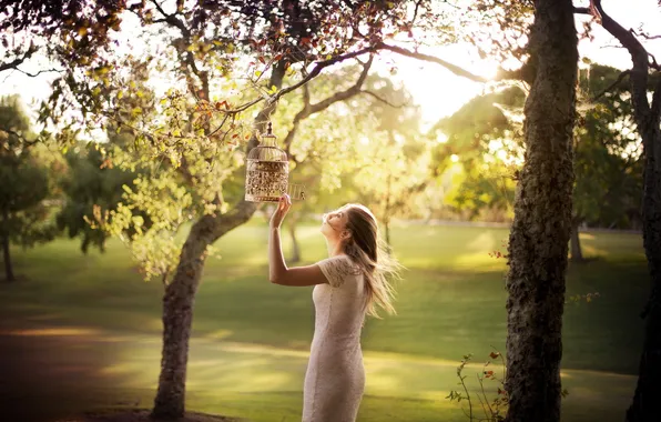 Picture girl, light, tree, cell