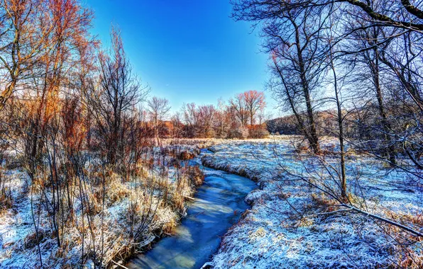 Frost, the sky, grass, the sun, stream, blue, treatment, the bushes