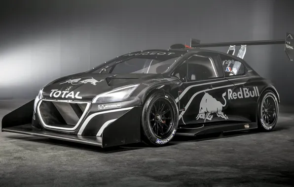 Picture Peugeot, Peugeot, the front, racing car, 208, T16, Pikes Peak, Pikes Peak