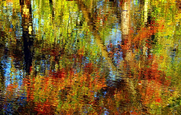 Water, nature, reflection, ruffle