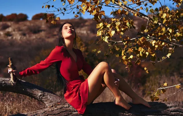 Girl, sky, trees, field, nature, model, women, brunette