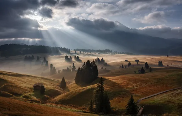 Autumn, forest, rays, trees, mountains, clouds, fog, dawn