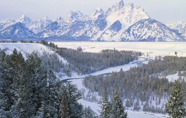 Winter, snow, trees, river, Mountains