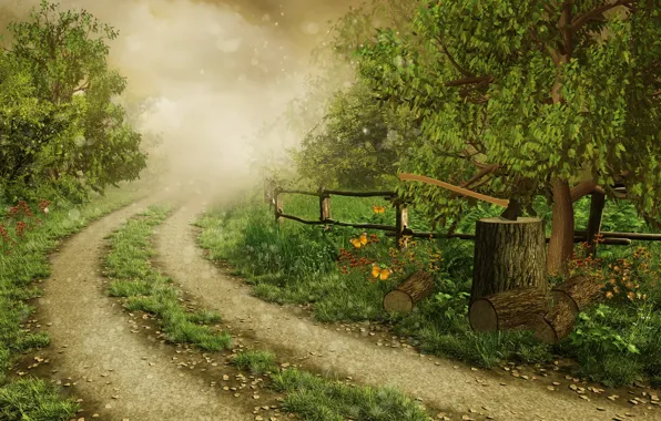 Road, forest, grass, trees, butterfly, nature, fog, glare