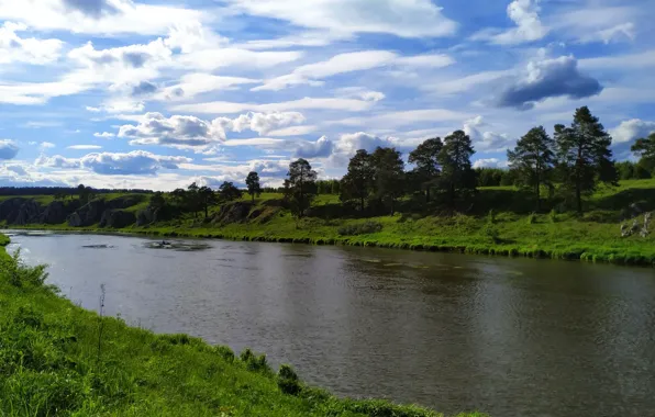 Forest, grass, clouds, light, trees, river