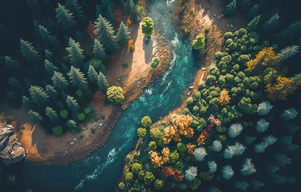 Picture autumn, forest, landscape, river, colorful, dark, forest, river