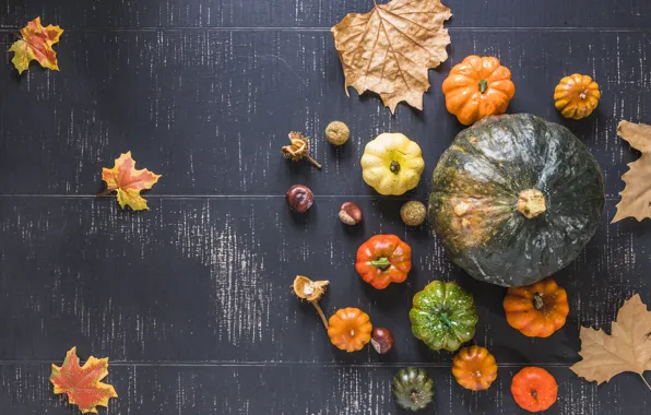 Autumn, leaves, background, Board, colorful, pumpkin, maple, wood