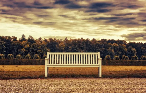 Picture Autumn, Bench, Autumn, Bench