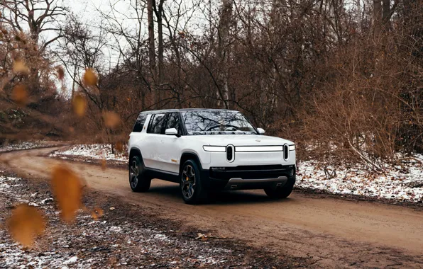 Road, forest, white, SUV, 2019, Rivian, R1S