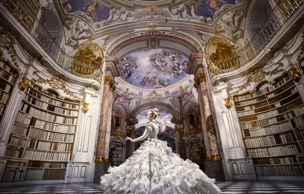 Picture mood, books, dance, dress, library, hall
