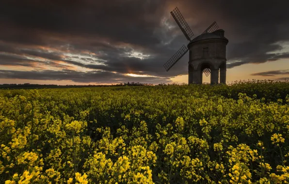 Summer, the sky, sunset, flowers, clouds, yellow, space, arch