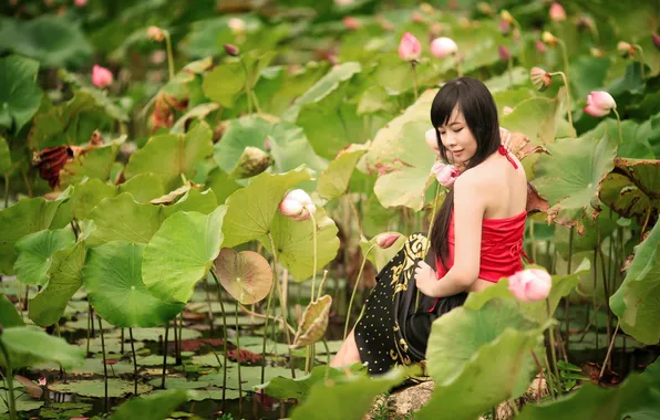 Picture girl, nature, Lily, Asian