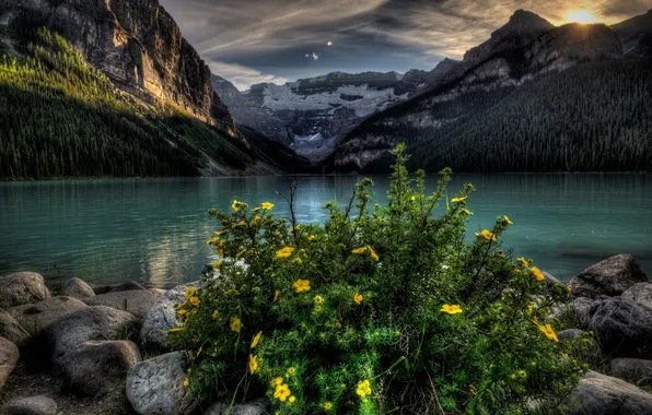 Picture landscape, flowers, mountains, lake