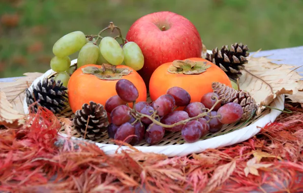 Berries, Apple, grapes, Fruit, persimmon