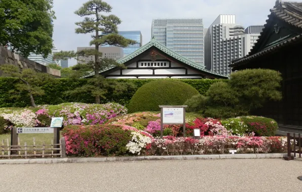 Japan, temple, Tokyo, Japan, the garden of stones