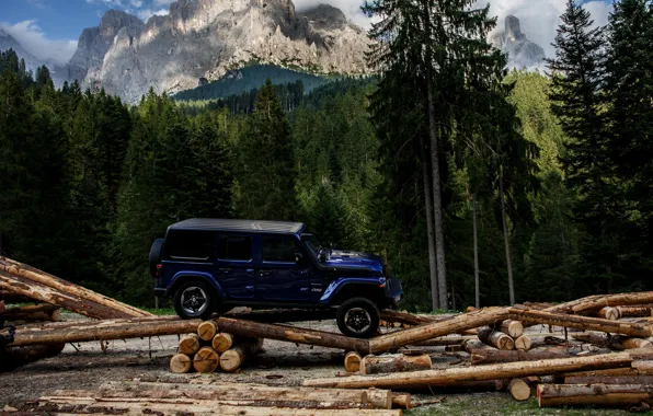 Blue, SUV, 4x4, Jeep, coniferous forest, 2019, Wrangler Unlimited 1941 Sahara