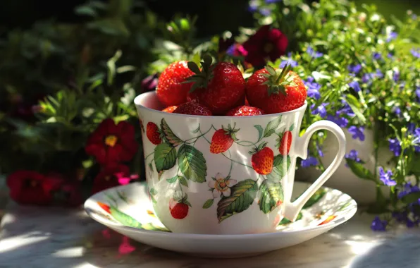 Picture summer, light, flowers, table, mood, food, cute, strawberry