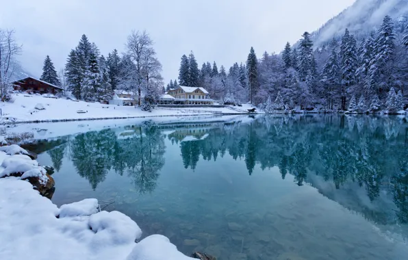 Winter, forest, water, snow, reflection, trees, lake, home