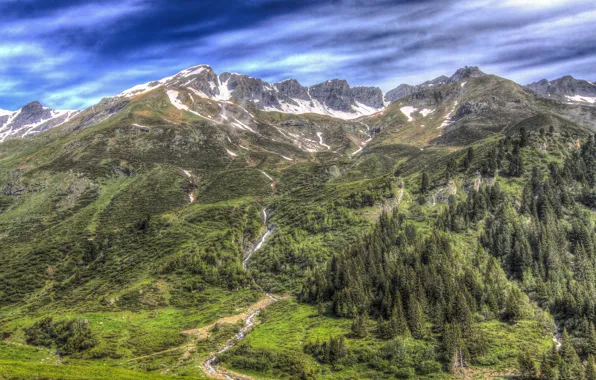 Picture forest, trees, landscape, mountains, HDR