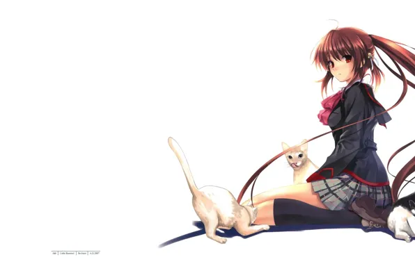 White background, red, schoolgirl, knee, sitting, long hair, on my knees, three kittens